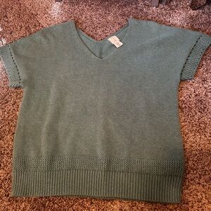Joie sage green knit sweater